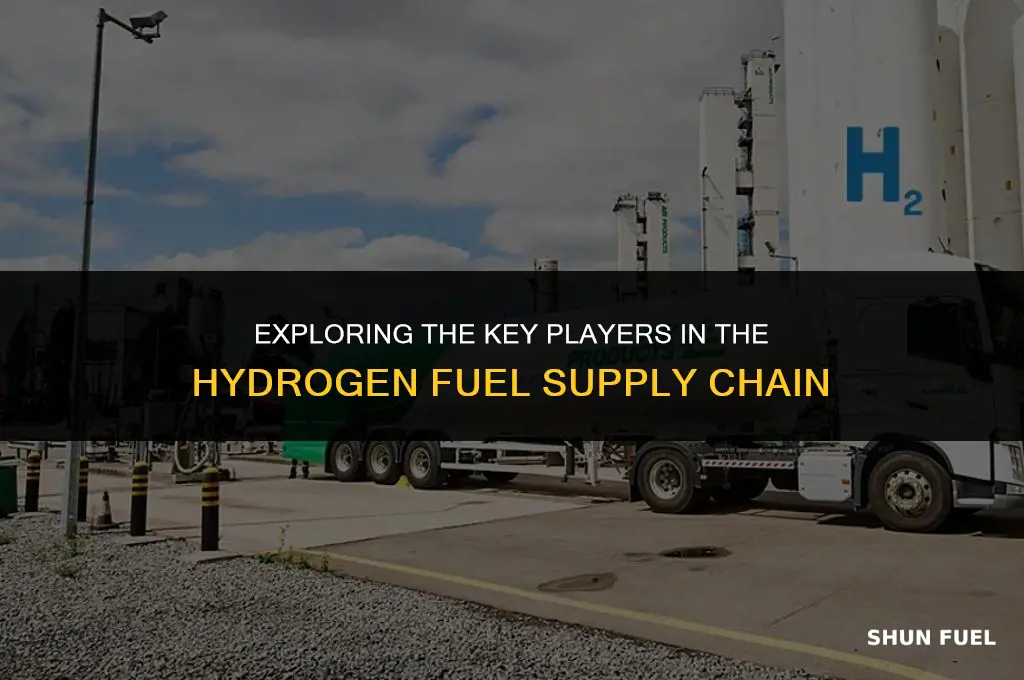 who supplies hydrogen fuel