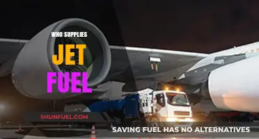 Unveiling the Global Players in Jet Fuel Supply Chain