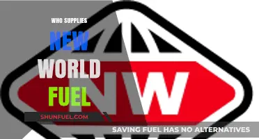 Empowering the Future: Unveiling the Key Players in New World Fuel Supply
