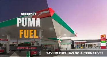 Exploring Puma's Fuel Suppliers: A Comprehensive Guide