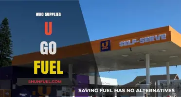 Exploring the Global Players in the U Go Fuel Supply Chain