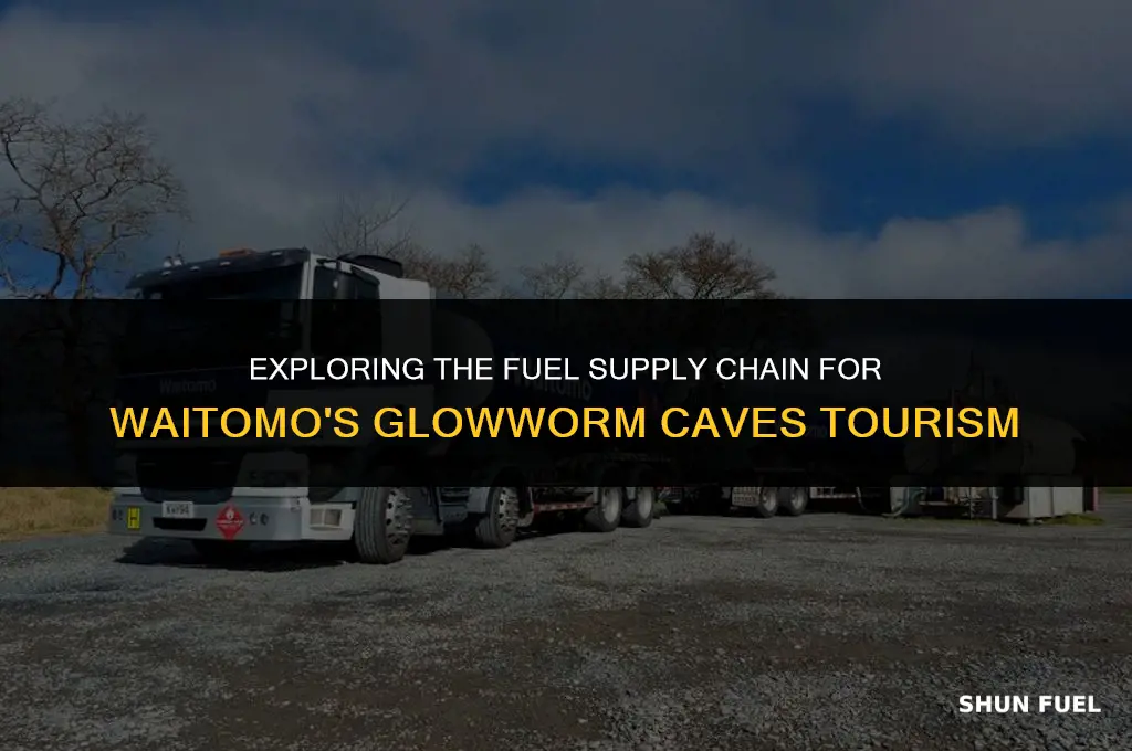 who supplies waitomo fuel