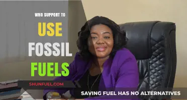 Who Still Supports Fossil Fuels? Exploring the Advocates and Reasons