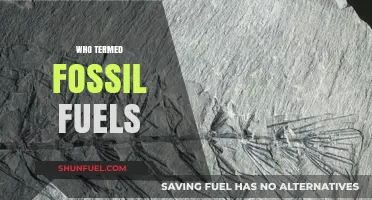 Who Coined the Term Fossil Fuels? Uncovering the Origin