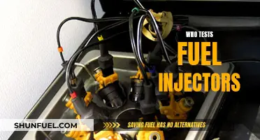 Fuel Injector Testing: Who Does It?