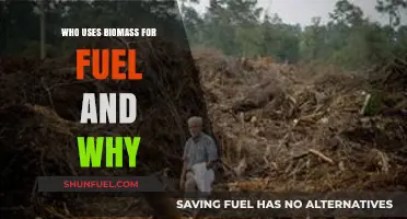 Biomass Fuel Users: Industries, Households, and Sustainability Drivers