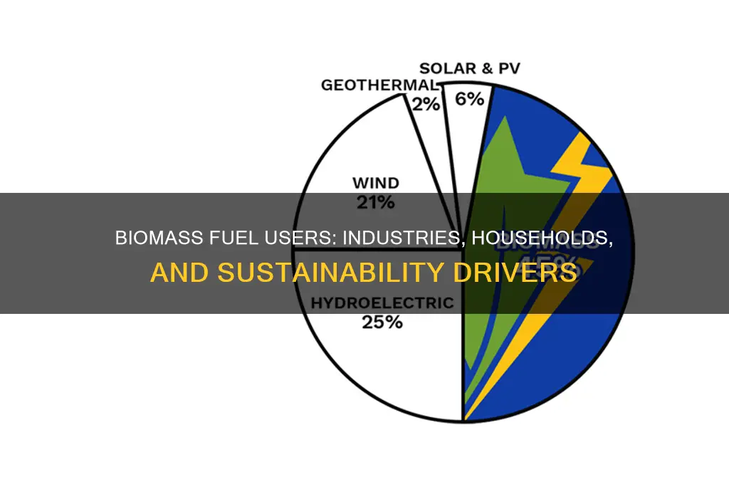 who uses biomass for fuel and why