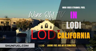 Who Uses Ethanol Fuel in Lodi, California? Local Insights