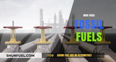 Who Relies on Fossil Fuels: Industries, Nations, and Daily Life