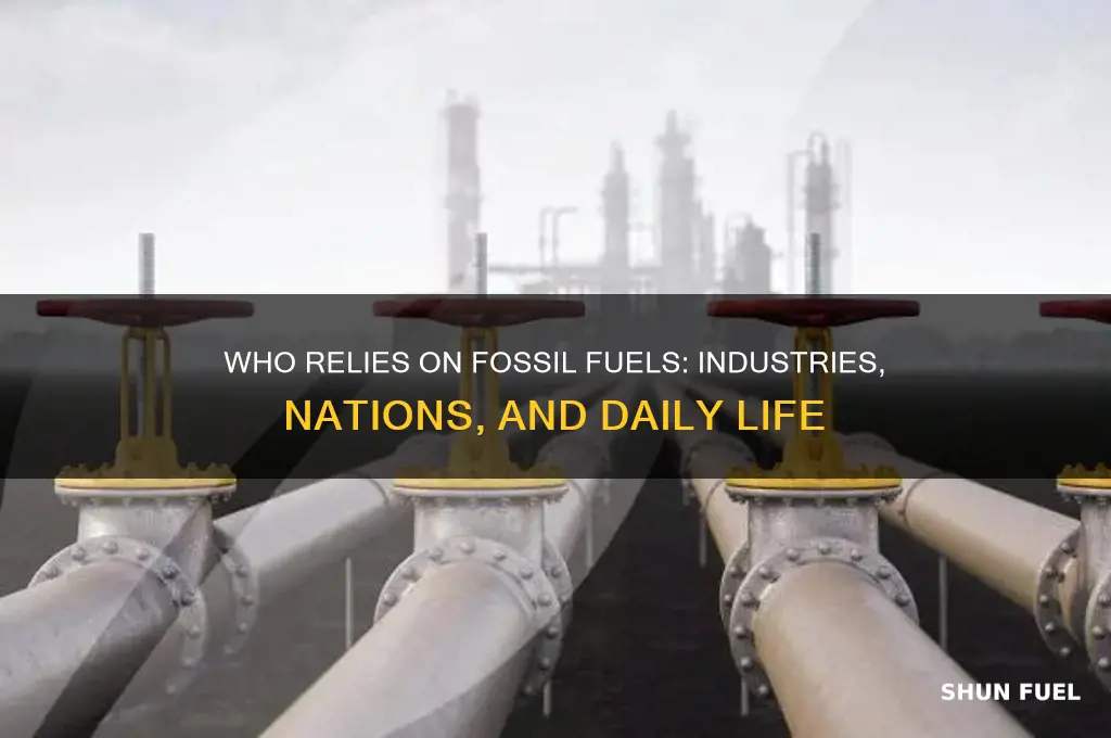 who uses fossil fuels