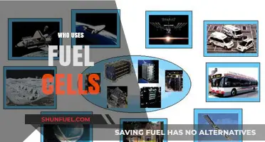 Who Uses Fuel Cells? Industries and Applications Driving Adoption
