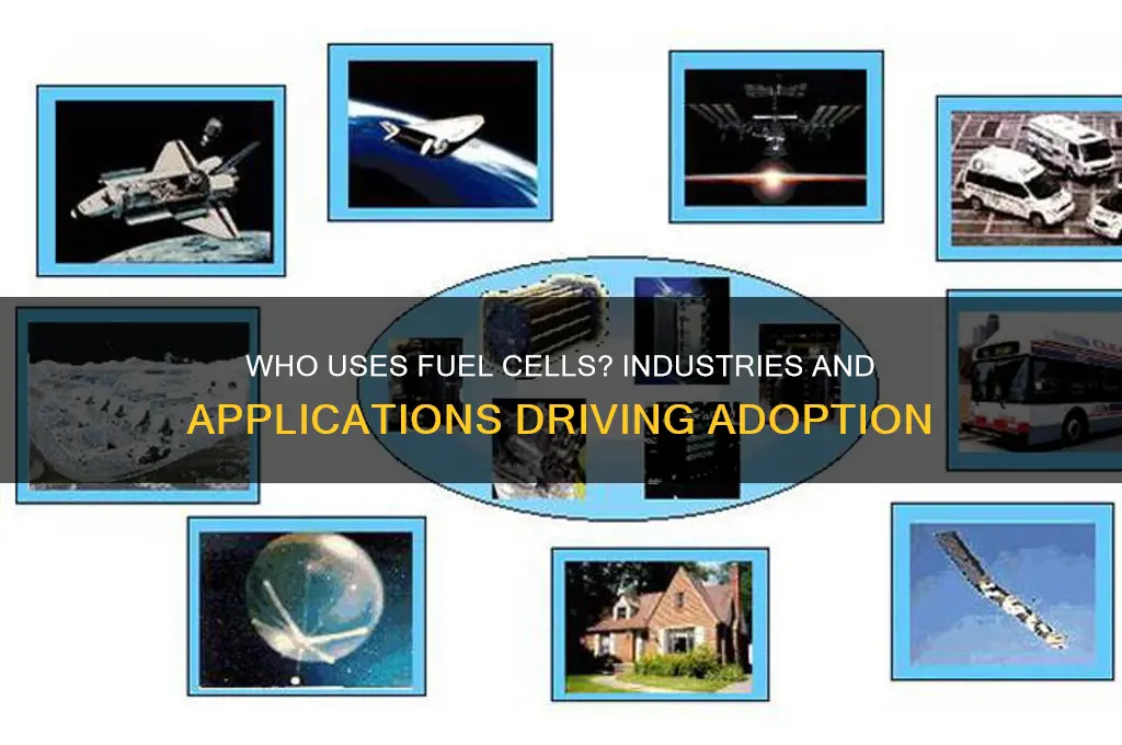 who uses fuel cells