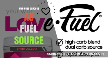 Glucose as Fuel: Who Relies on This Essential Energy Source?