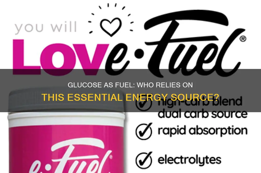 who uses glucose as fuel source