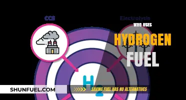 Who Uses Hydrogen Fuel? Industries and Applications Leading the Way