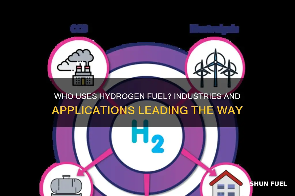 who uses hydrogen fuel