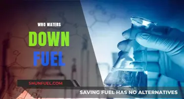 The Fuel Dilution Debate: Who's Really Watering Down Your Gas?