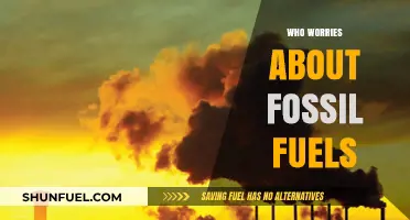Who Cares About Fossil Fuels? Exploring Concerns and Alternatives