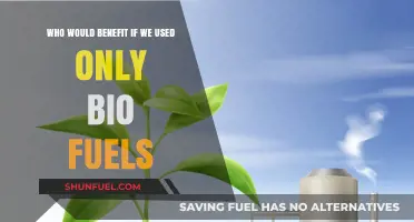 Biofuels Revolution: Who Gains from a Sustainable Energy Shift?