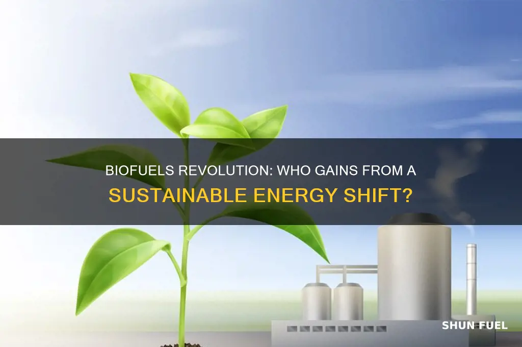 who would benefit if we used only bio fuels