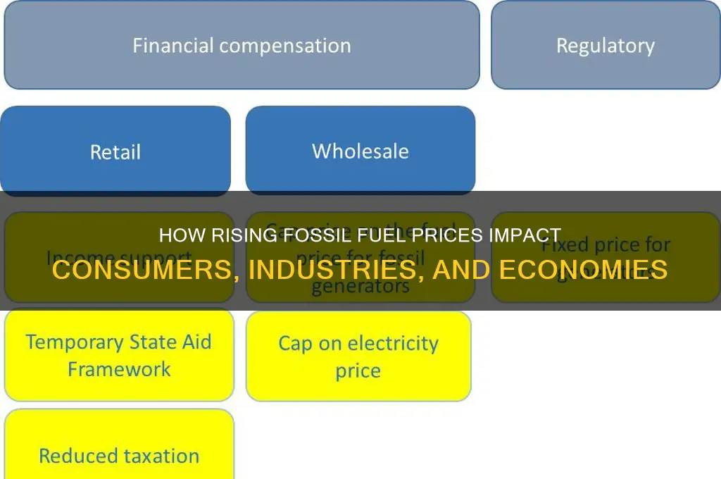 who would increased fossil fuel prices influence