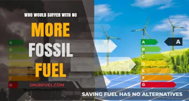 Life Without Fossil Fuels: Who Bears the Brunt of the Transition?