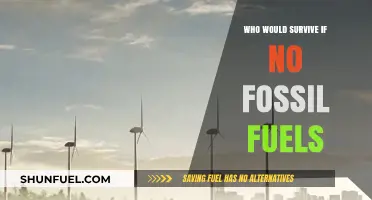 Surviving Without Fossil Fuels: Who Adapts in a Renewable World?