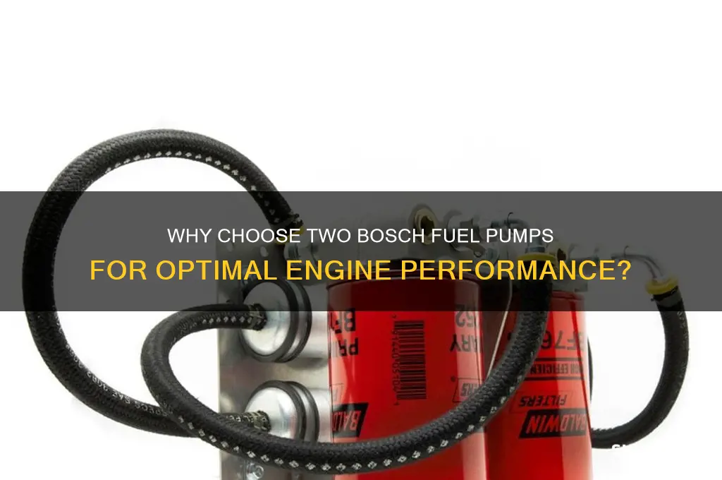 why 2 bosch fuel pumps