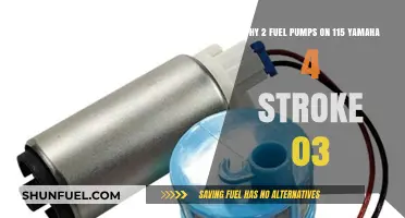 Dual Fuel Pumps in 2003 Yamaha 115hp 4-Stroke Outboard: Why?