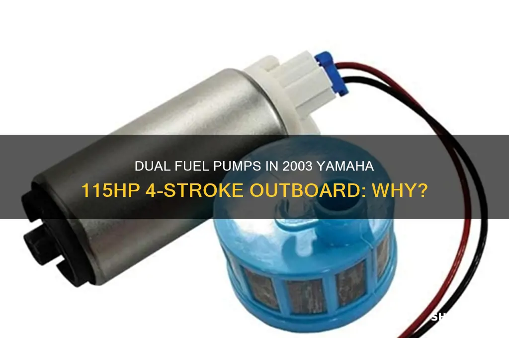 why 2 fuel pumps on 115 yamaha 4 stroke 03