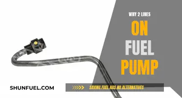 Fuel Pump Mystery: Two Lines, One Purpose