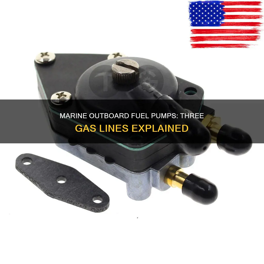 why 3 gas lines on marine outboard fuel pump