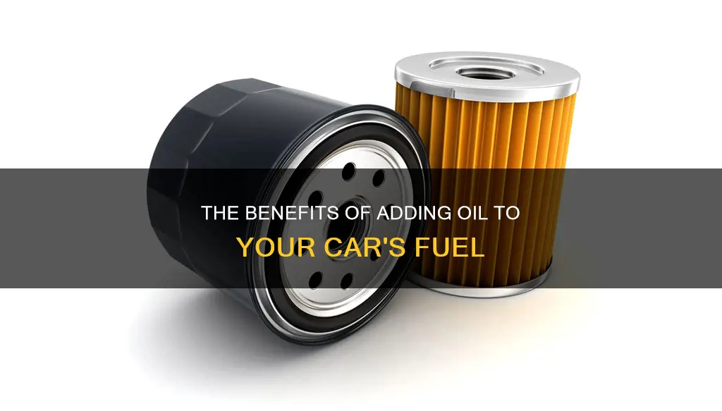 why add oil to car fuel