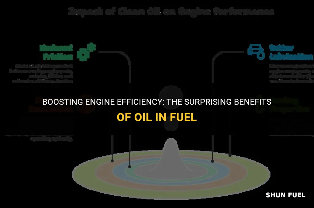 why add oil to fuel