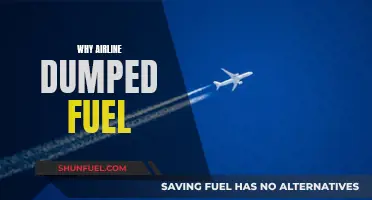 Environmental Controversy: The Fuel Dumping Dilemma in Aviation