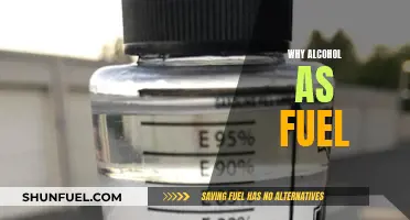 Exploring the Viability of Alcohol as an Alternative Fuel Source