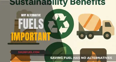 Why Alternative Fuels Matter: A Sustainable Future in Motion