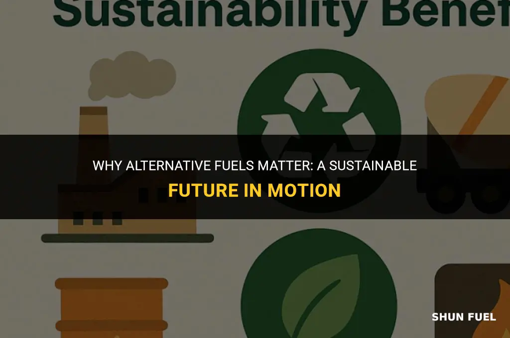 why alternaitve fuels important