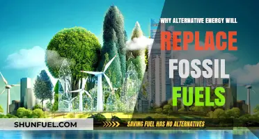 The Inevitable Shift: Why Alternative Energy Surpasses Fossil Fuels