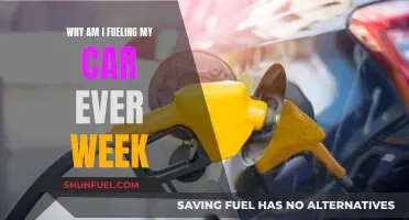 Weekly Car Fuel: Understanding the Necessity and Benefits