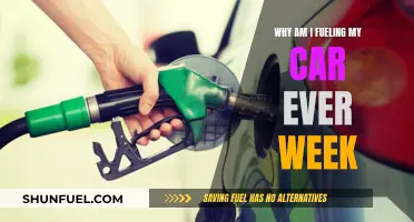 My Car's Fuel Consumption: Why So High?