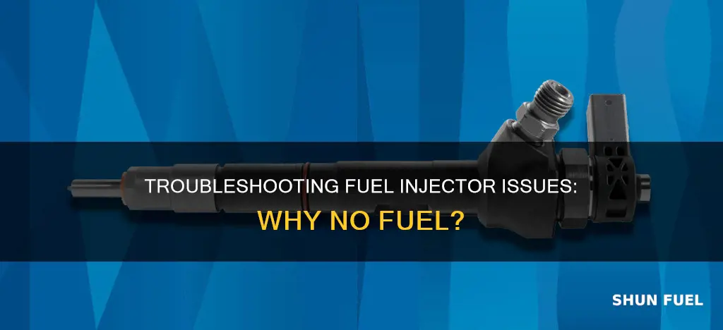 why am i not getting fuel to my injectors