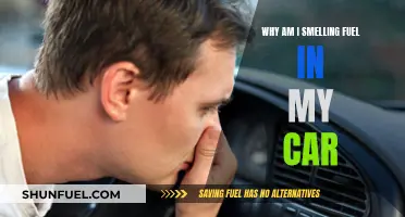 Fuel Odor in My Car: What's the Cause?