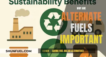 Powering a Sustainable Future: The Importance of Alternative Fuels