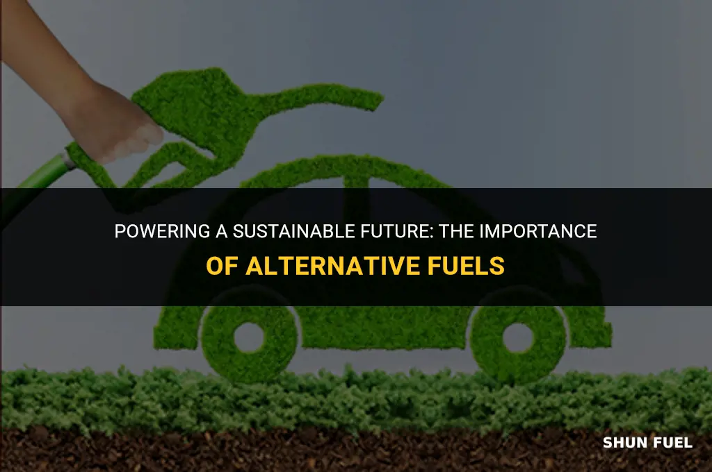 why are alternate fuels important
