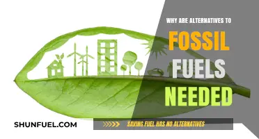 Urgent Need for Clean Energy: Why Fossil Fuel Alternatives Matter