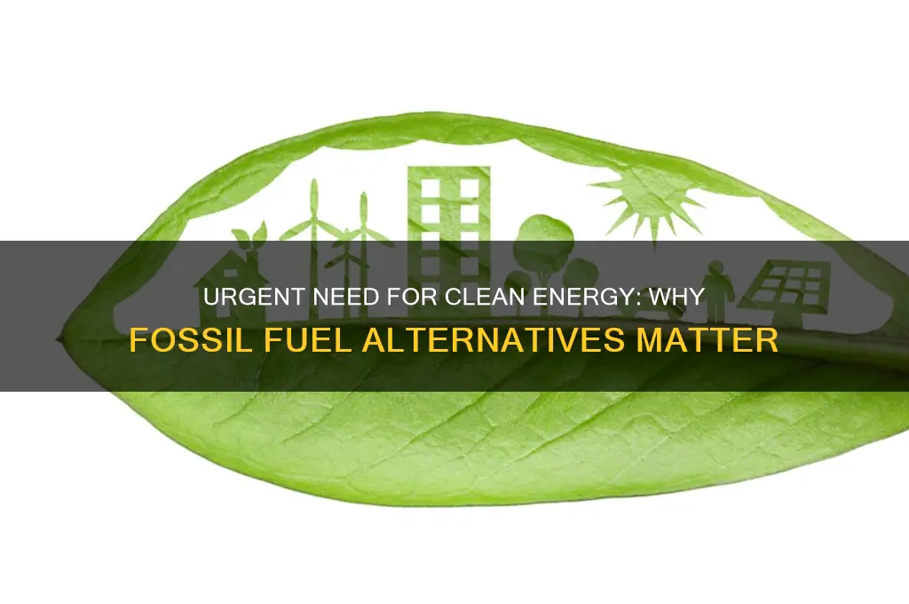 why are alternatives to fossil fuels needed