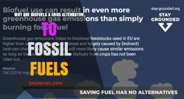 Biofuels: A Sustainable, Clean Energy Alternative to Fossil Fuels