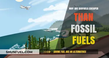Biofuels vs. Fossil Fuels: Uncovering the Cost-Effective Energy Alternative