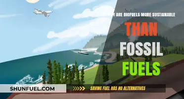 Biofuels vs. Fossil Fuels: Sustainable Energy for a Greener Future